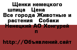 Щенки немецкого шпица › Цена ­ 20 000 - Все города Животные и растения » Собаки   . Ненецкий АО,Хонгурей п.